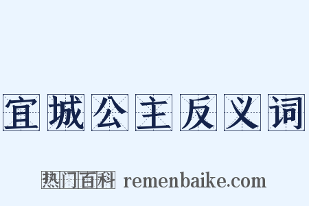 宜城公主反义词是什么意思的图片